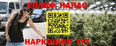 твердый Моздок
