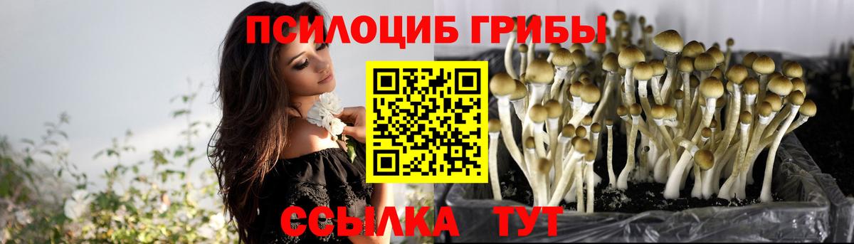 Псилоцибиновые грибы прущие грибы  Вход с VPN  Сызрань 